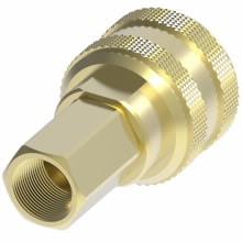 3200 Series MNPT X FNPT Brass Adapter